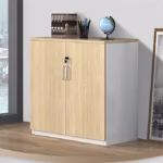2-door wooden credenza with 3-tier internal shelves and modern minimalist finish