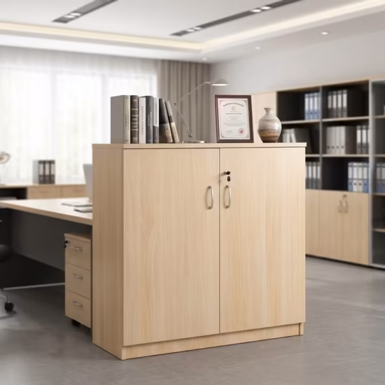 2-Door Wooden Office Cabinet placed in a modern office setup with organized files and office accessories